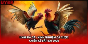UY88 Đá Gà - Kinh Nghiệm Cá Cược Chiến Kê Bất Bại 2026